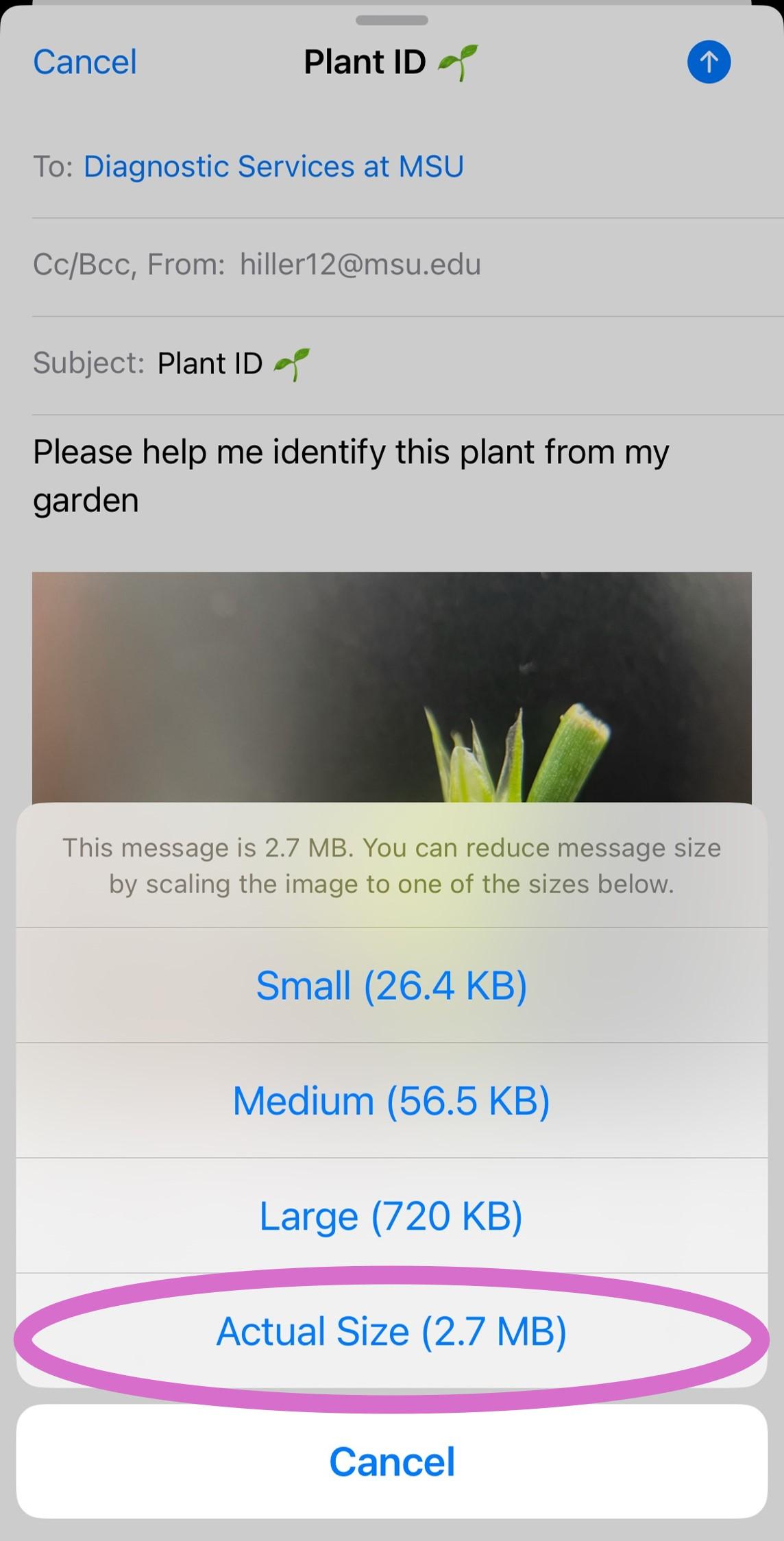 Screenshot of photo size settings on a phone.